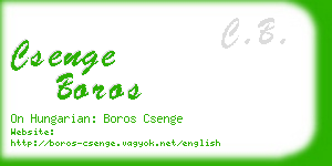 csenge boros business card